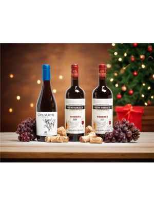 Selección Vinos Tres reyes magos