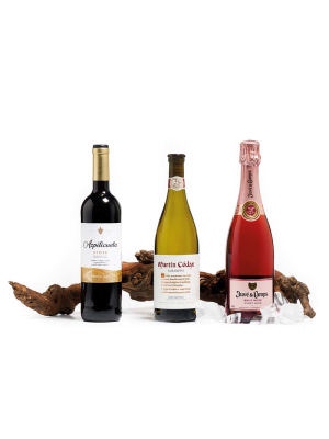 Selección Vinos Divina Rioja