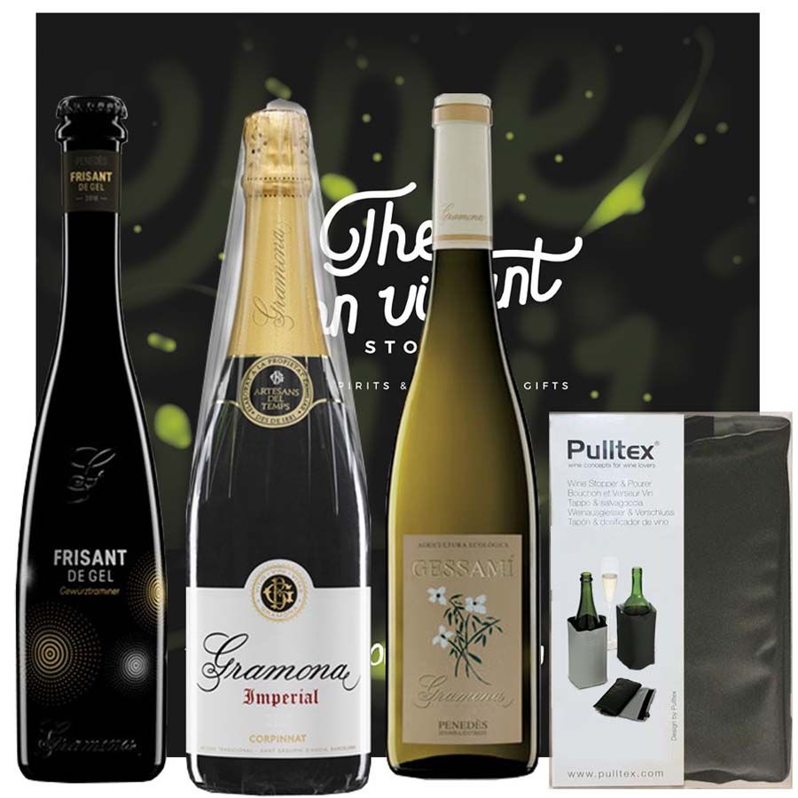 Lote Grandes Bodegas - Gramona