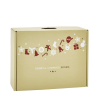 Lote de Navidad Salve regina